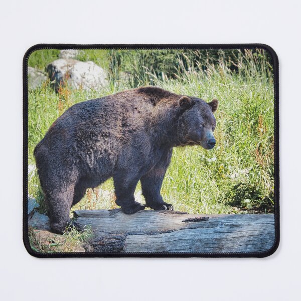 Item preview, Grizzly Bear designed and sold by pcole123.