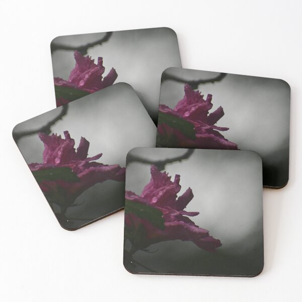 Item preview, A pink rose of Sharon in a rainday  designed and sold by FoxGlove5.