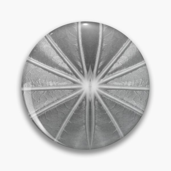 Item preview, Leaf Veins in Black and White by Adelaide artist Avril Thomas at Magpie Springs designed and sold by MagpieSprings.