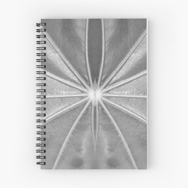 Item preview, Leaf Veins in Black and White by Adelaide artist Avril Thomas at Magpie Springs designed and sold by MagpieSprings.