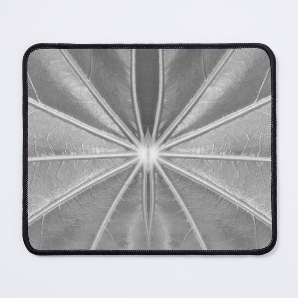 Item preview, Leaf Veins in Black and White by Adelaide artist Avril Thomas at Magpie Springs designed and sold by MagpieSprings.