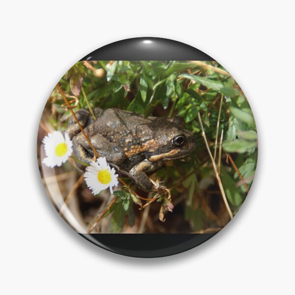 Item preview, Frog and Flower by Adelaide artist Avril Thomas at Magpie Springs designed and sold by MagpieSprings.