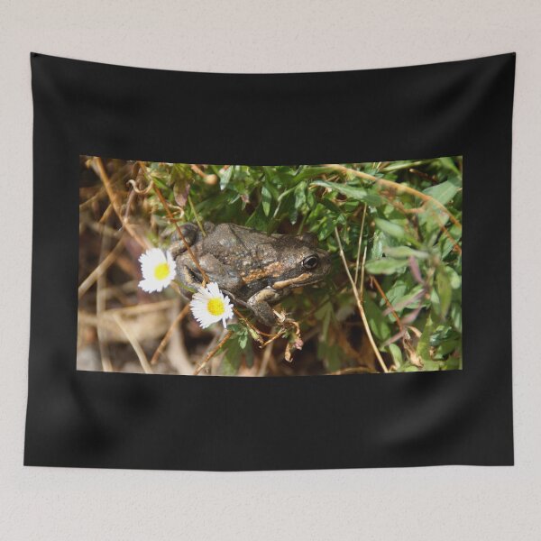 Item preview, Frog and Flower by Adelaide artist Avril Thomas at Magpie Springs designed and sold by MagpieSprings.