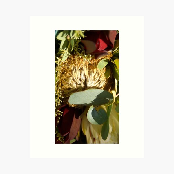 Item preview, Protea and Gum Leaves by Adelaide artist Avril Thomas at Magpie Springs designed and sold by MagpieSprings.