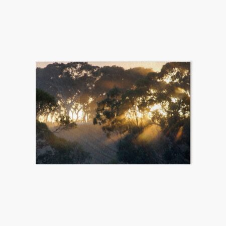 Sunrise on Bennys Hill by Adelaide artist Avril Thomas at Magpie Springs Art Board Print
