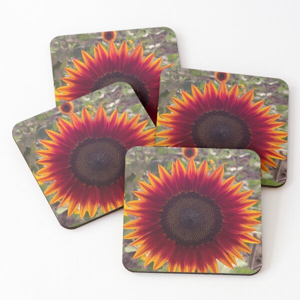 Item preview, A beautiful Sun Flower designed and sold by 3Tzz.