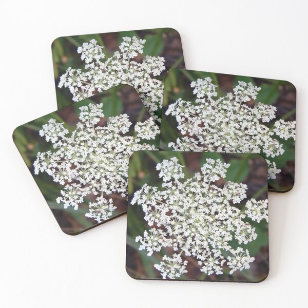 Item preview, Queen Anne's Lace designed and sold by gistinker.