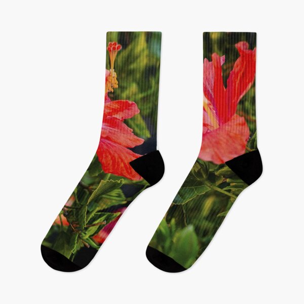 Item preview, Hibiscus designed and sold by Mengelphoto.
