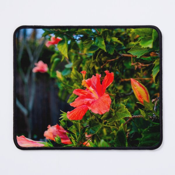 Item preview, Hibiscus designed and sold by Mengelphoto.