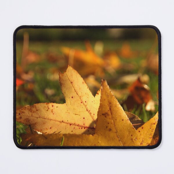 Item preview, Liquid Amber Autumn Leaves by Adelaide artist Avril Thomas at Magpie Springs designed and sold by MagpieSprings.