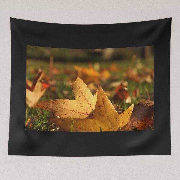 Item preview, Liquid Amber Autumn Leaves by Adelaide artist Avril Thomas at Magpie Springs designed and sold by MagpieSprings.