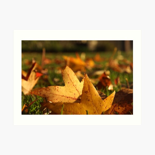 Art Print