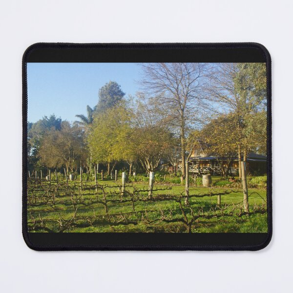 Item preview, Winter at Magpie Springs Vineyard with Homestead by Adelaide Artist Avril Thomas.  designed and sold by MagpieSprings.
