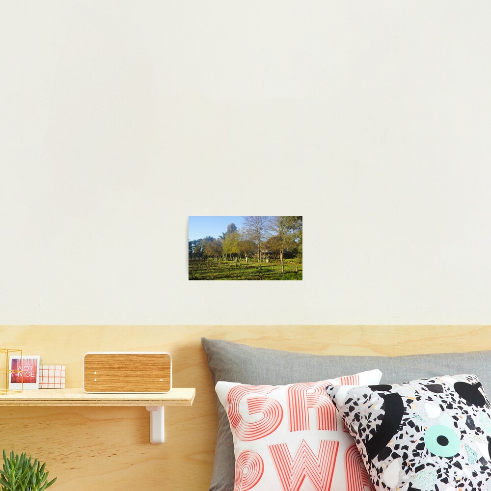 Item preview, Photographic Print designed and sold by MagpieSprings.
