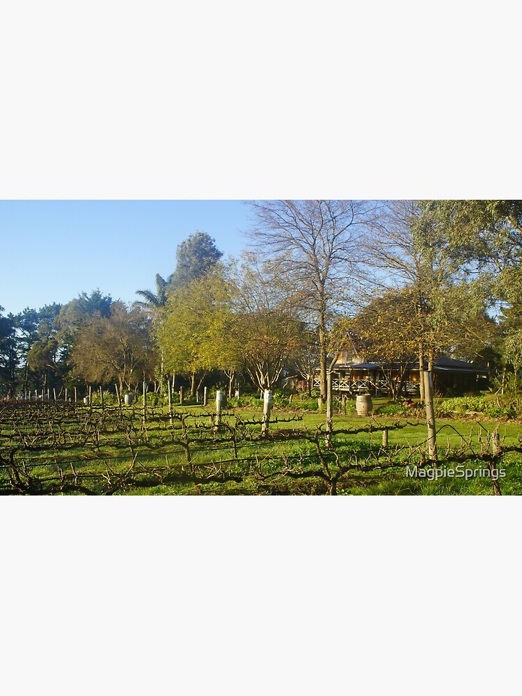 Thumbnail 3 of 3, Art Print, Winter at Magpie Springs Vineyard with Homestead by Adelaide Artist Avril Thomas. designed and sold by MagpieSprings.