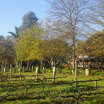Artwork thumbnail, Winter at Magpie Springs Vineyard with Homestead by Adelaide Artist Avril Thomas. by MagpieSprings