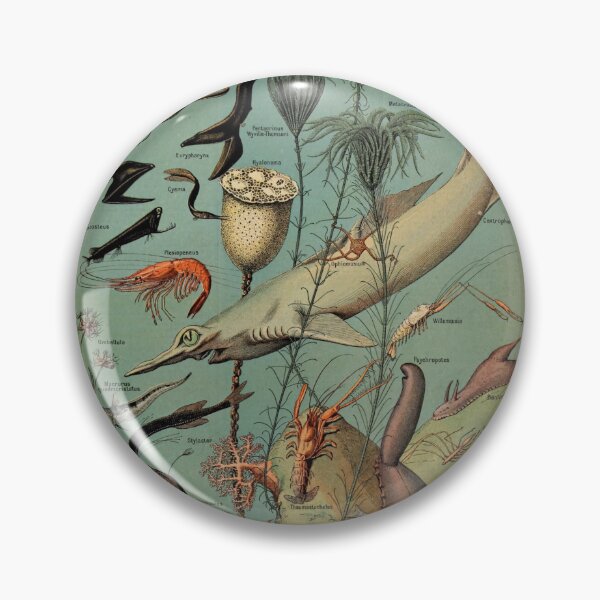 Item preview,  Oceanographie Pour Tous - Adolphe Millot designed and sold by starrylite.