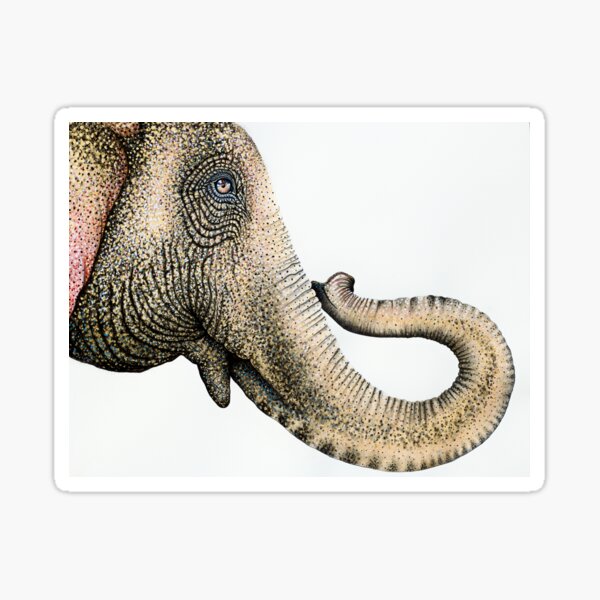 Item preview, Asian Elephant Painting designed and sold by MichelleFaber.