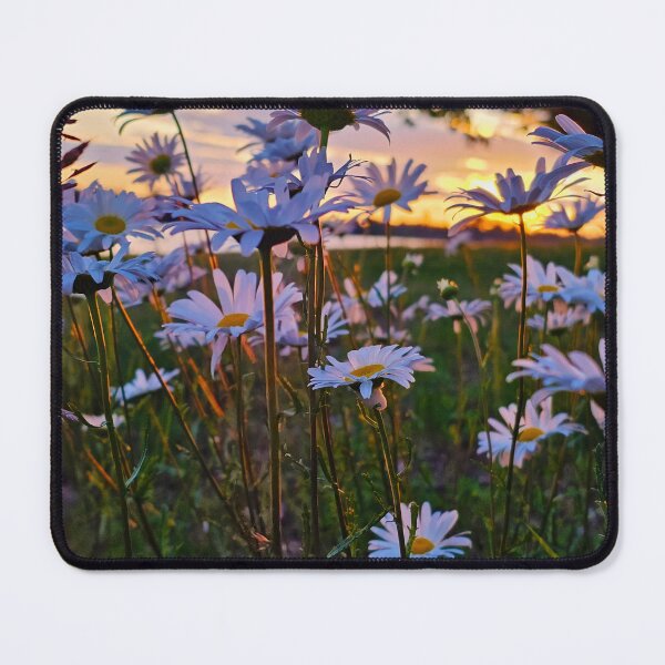 Item preview, Daisies designed and sold by Alla Gill.