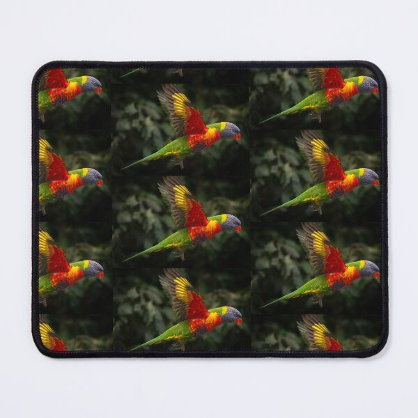 Item preview, Rainbow Lorikeet in flight designed and sold by robdanimalphotography.