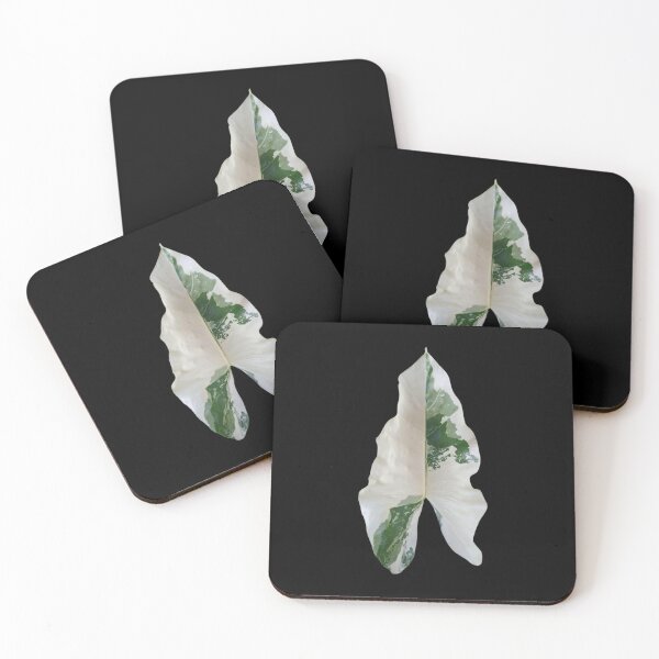 Item preview, Variegated Alocasia Leaf  designed and sold by Meo Design.