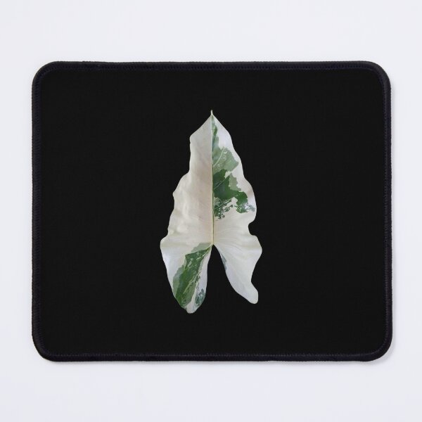 Item preview, Variegated Alocasia Leaf  designed and sold by Meo Design.