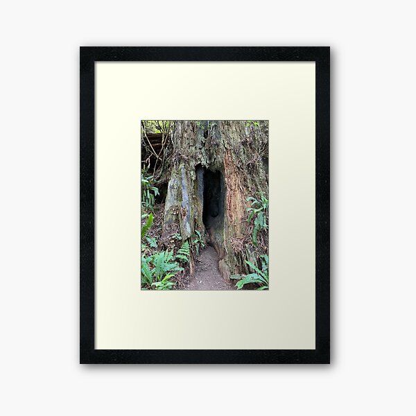 Item preview, Redwood National Park tree designed and sold by cheyb29.