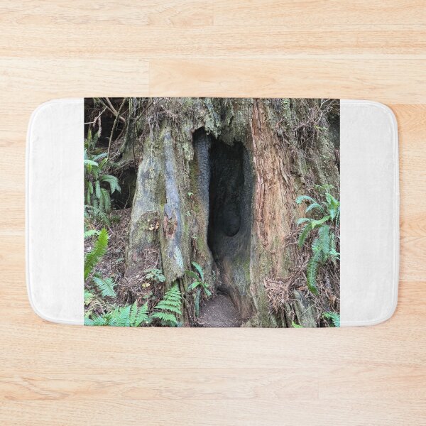 Item preview, Redwood National Park tree designed and sold by cheyb29.