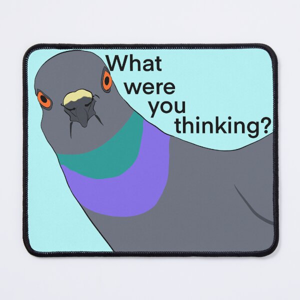 Item preview, Randy the Judgemental Pigeon What were you thinking? designed and sold by ShannonDoodles.