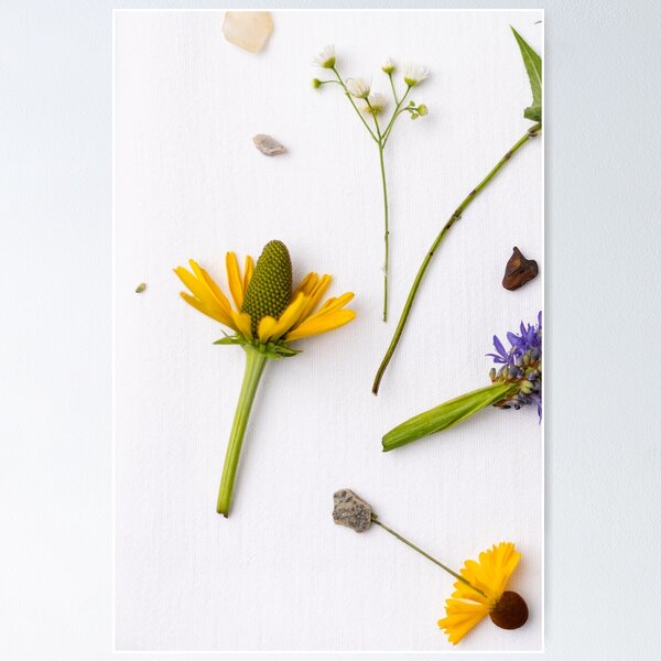 Item preview, Yellow Flower designed and sold by ABP-Still-Life.