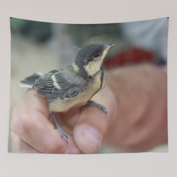 Item preview, A Bird In The Hand designed and sold by taiche.