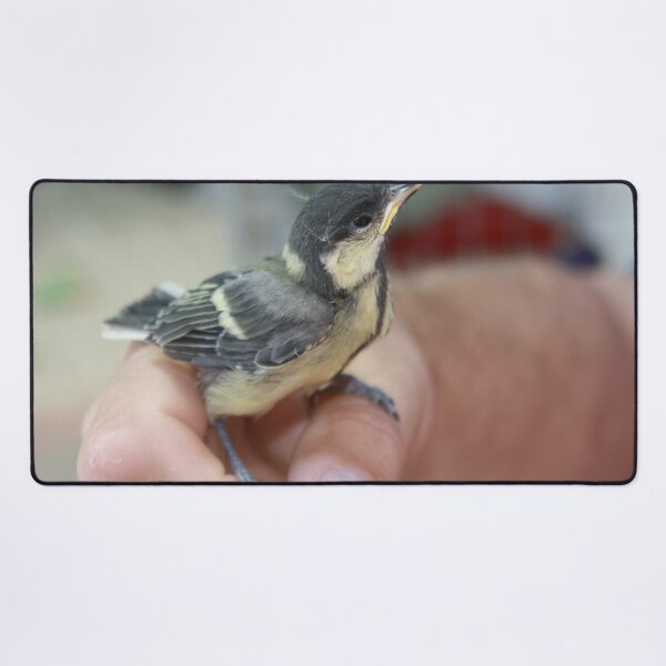 Item preview, A Bird In The Hand designed and sold by taiche.