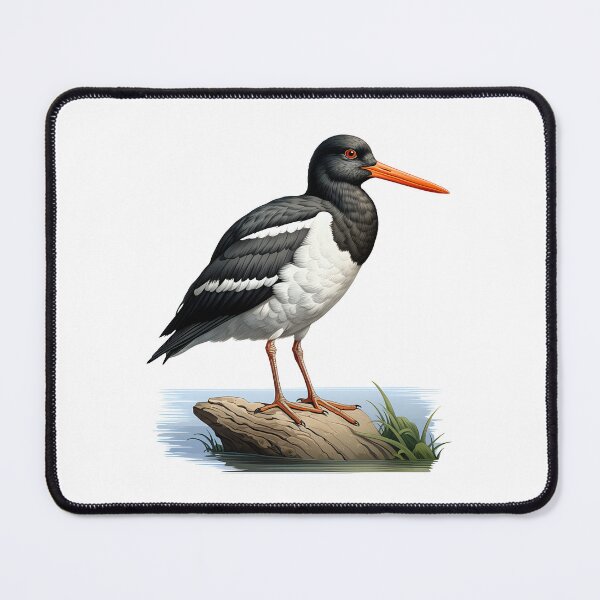 Item preview, Oystercatcher bird designed and sold by DerSenat.