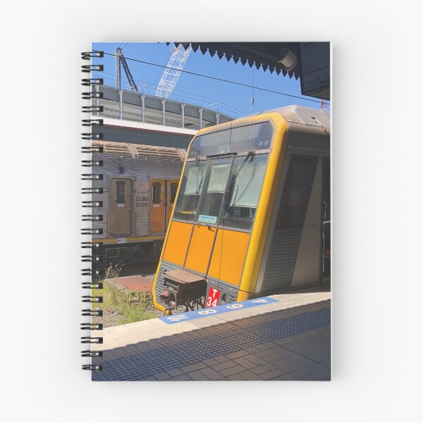 Item preview, Sydney Trains and NSW TrainLink InterCity V Set and T Set at Central Station designed and sold by Anthony501st.