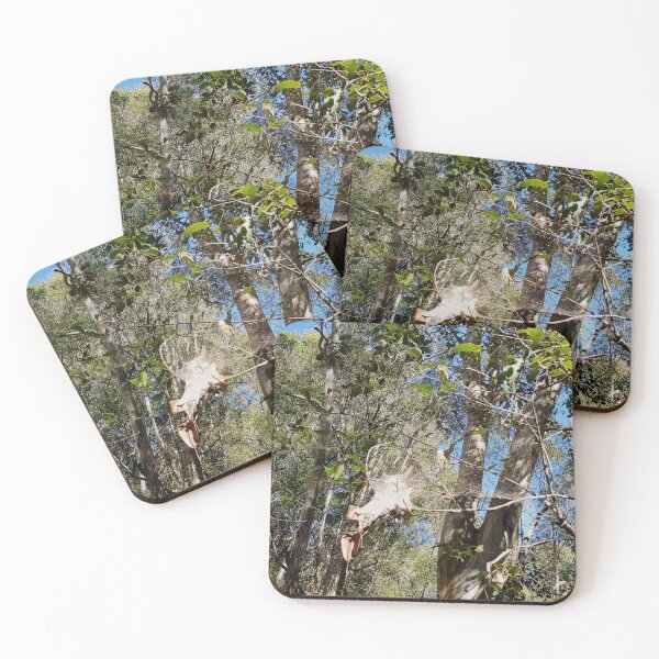 Item preview, Hanging Spiderweb Nest Between Trees designed and sold by Designsbygroovy.