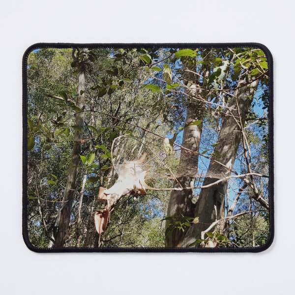 Item preview, Hanging Spiderweb Nest Between Trees designed and sold by Designsbygroovy.