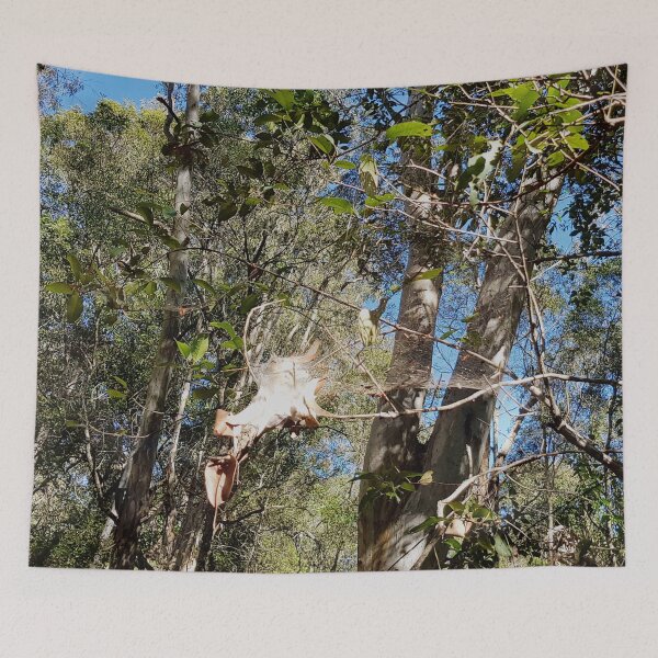 Item preview, Hanging Spiderweb Nest Between Trees designed and sold by Designsbygroovy.