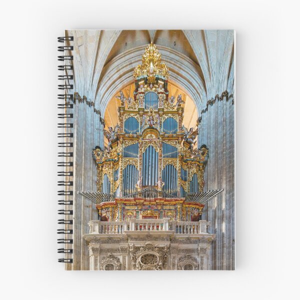 Item preview, Salamanca Organ Pipes designed and sold by DiFigianoPhoto.