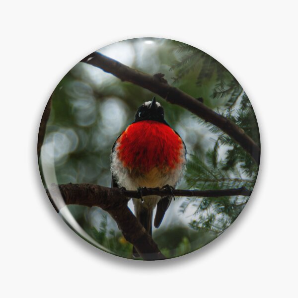 Item preview, Little Round Bird designed and sold by Baxter-adams.