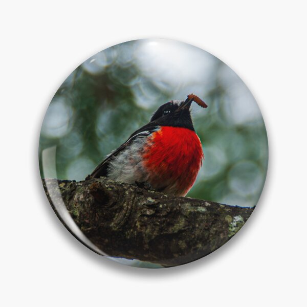 Item preview, Little Round Bird designed and sold by Baxter-adams.