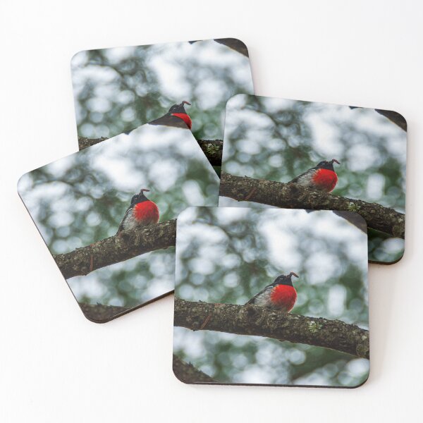 Item preview, Little Round Bird designed and sold by Baxter-adams.
