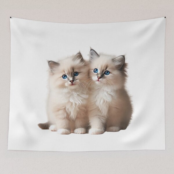 Item preview, Ragdoll Kittens designed and sold by CardsStudio.