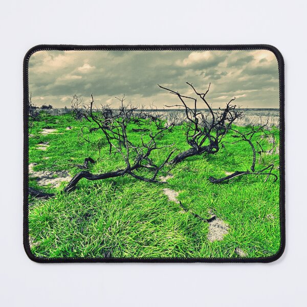 Item preview, The Dead Trees designed and sold by MorstonPhoto.
