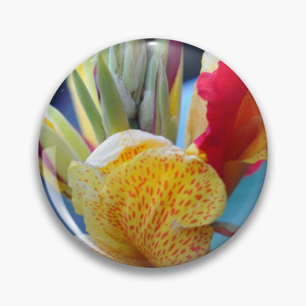 Item preview, Carnaval  designed and sold by ColourMoods.