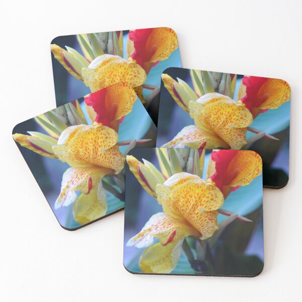 Item preview, Carnaval  designed and sold by ColourMoods.