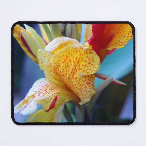 Item preview, Carnaval  designed and sold by ColourMoods.