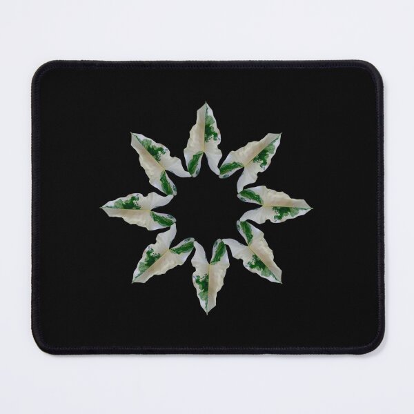 Item preview, leaf star designed and sold by Meo Design.