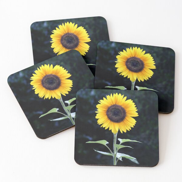 Item preview, Perfect Sunflower designed and sold by Tom McPherson Photography.
