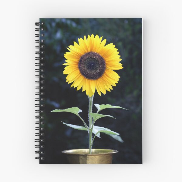 Item preview, Perfect Sunflower designed and sold by Tom McPherson Photography.