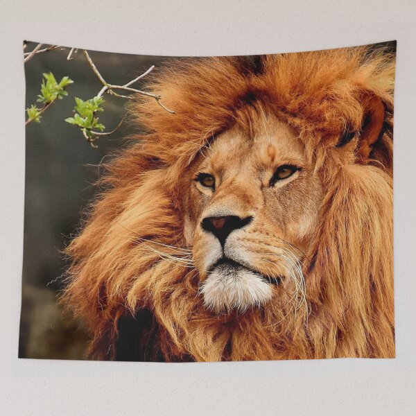 Item preview, Male Lion designed and sold by abxxyz123.